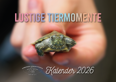 HTV-Kalender 2026